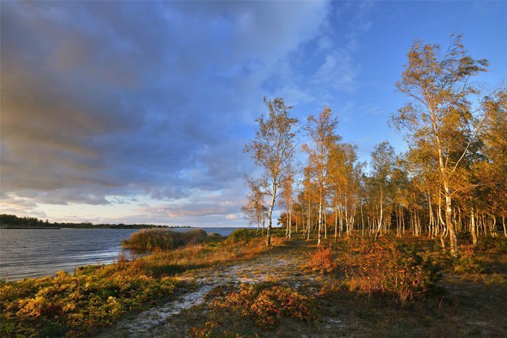 Autumn jungle sunset lake