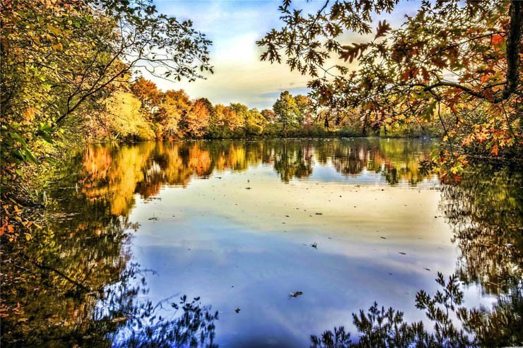 Autumn lake trees jungle sky