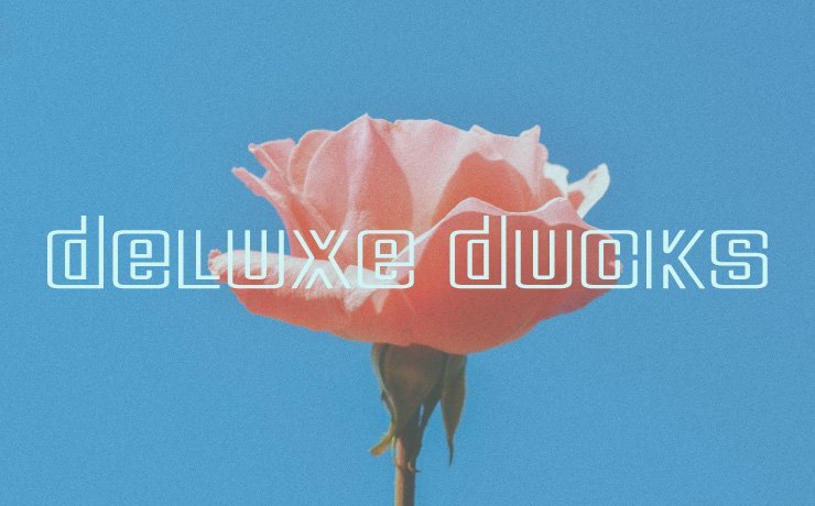 Deluxe Ducks