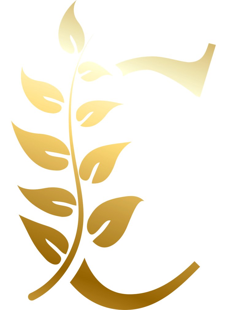 
									Letter C letter mark alphabetic gradient color vector logo