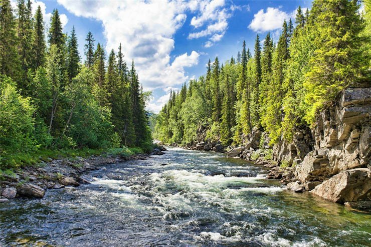 Rivers water sky cloud natural tree trees wood