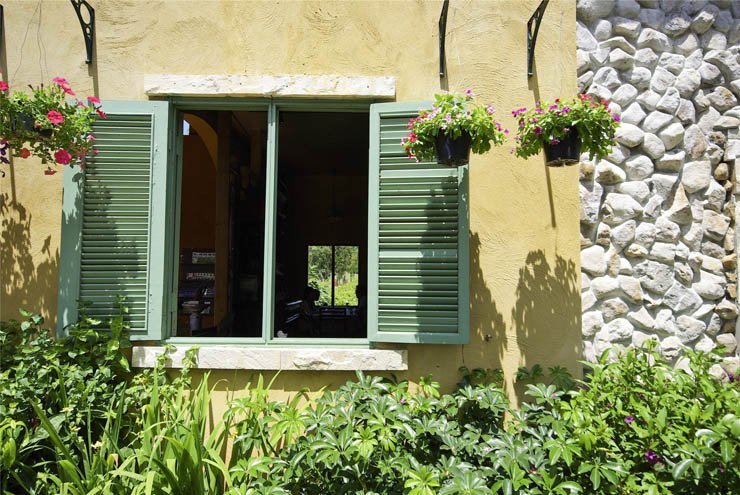 Rustic window windows plant plants tree wood home house