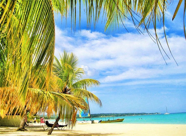 Tropical branch trees sea water beach ocean natural sky clear boat sand