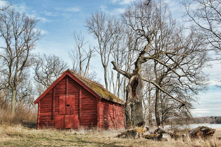 autumn farm barn trees fall