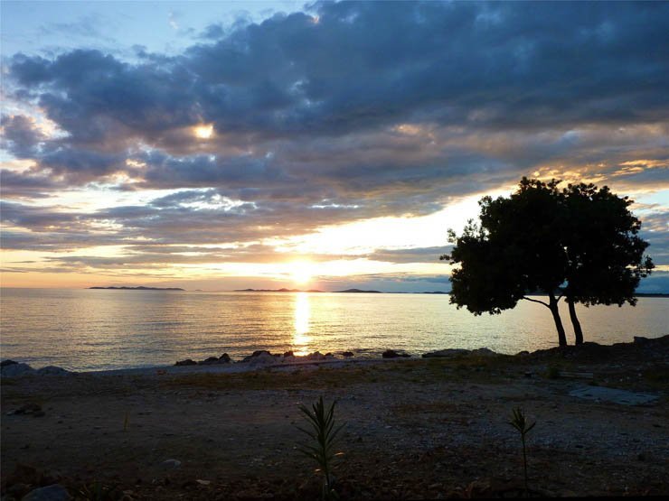 beach shore tree sand sea ocean river water shore cloud clouds cloudy sunset sun