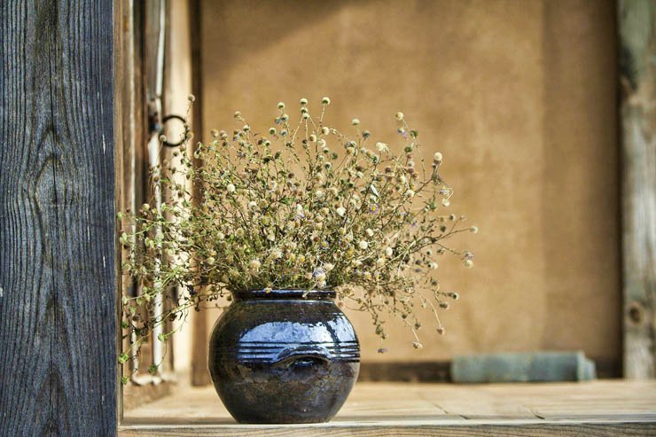 door home house plant plants