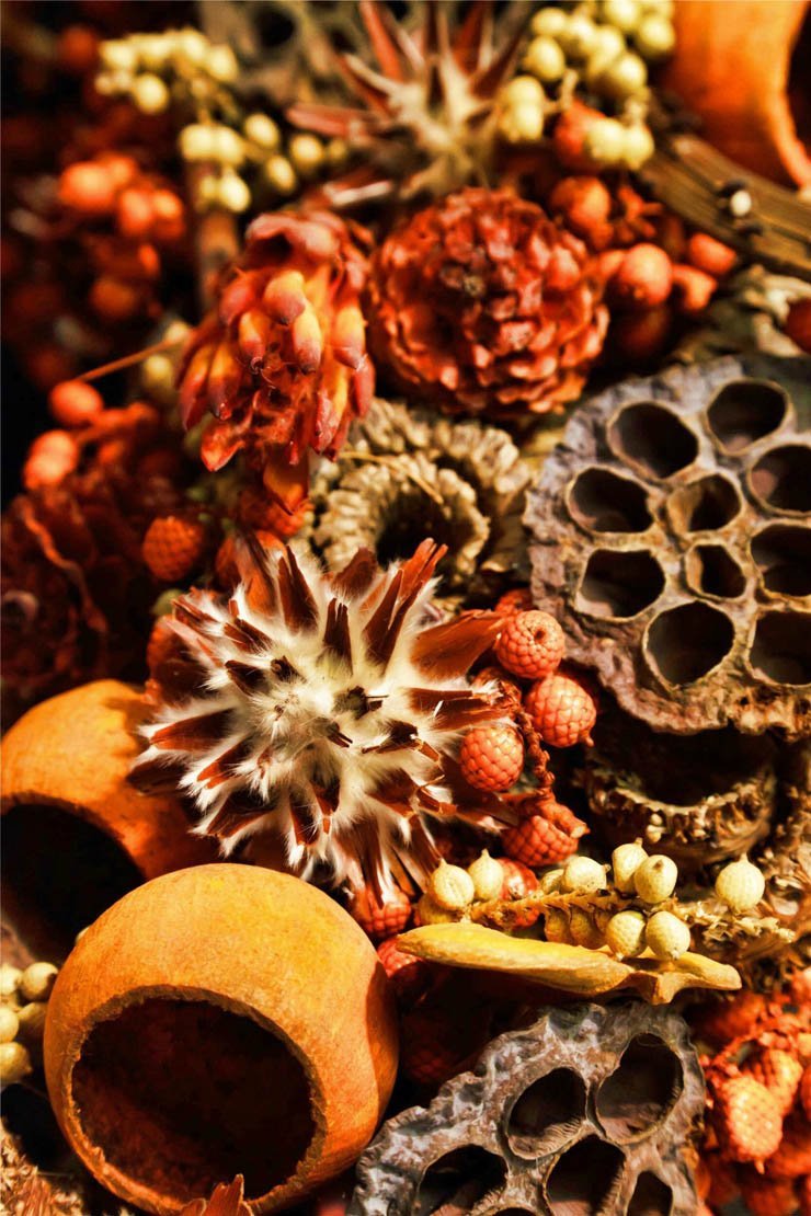 eat food fruit fruits vegetables vegetable health healthy spices spicy