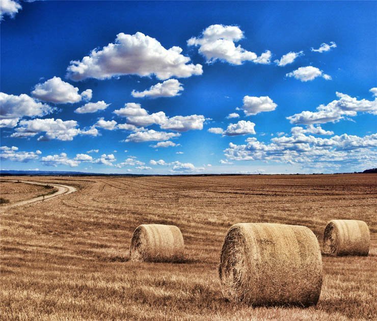 field barly sky cloud clouds cloudy farm roll harvest