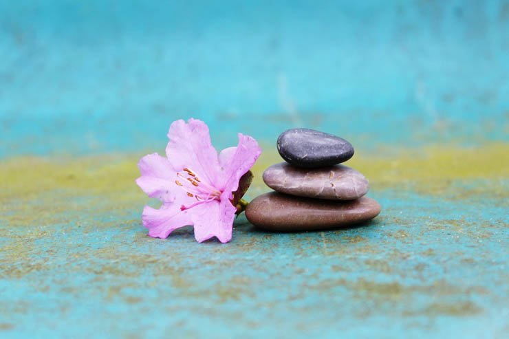 flower flowers floral spring nature plant plants stone stones pink