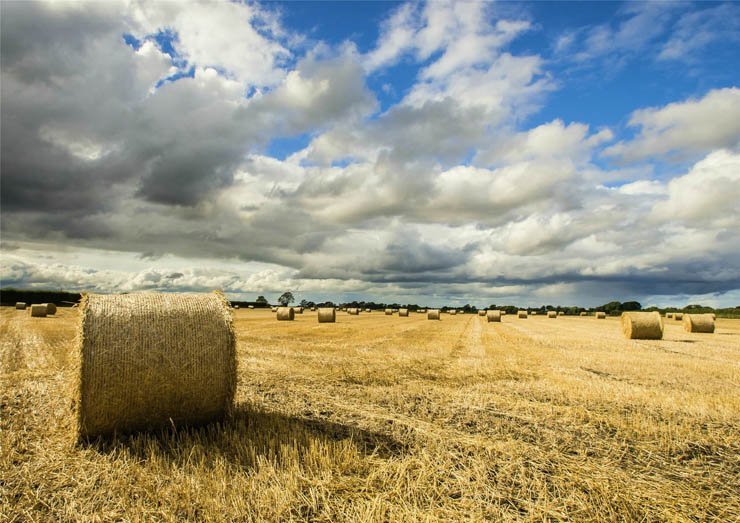hay 1barley field farm sky cloud clouds cloudy harvest