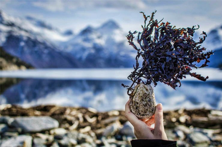 hold holding rock sea shore nature sky water rocks