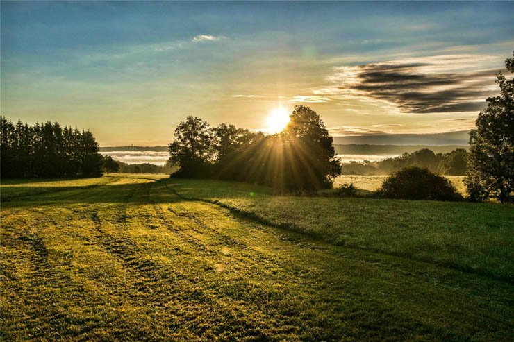nature natural sky farm field grass cloud clouds cloudy tree trees