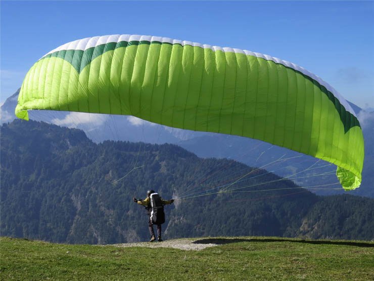 parachuting paragliding parachute natural forest tree trees