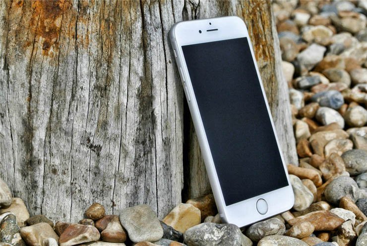 phone mobile cellphone cell tech technology iphone stone stones tree