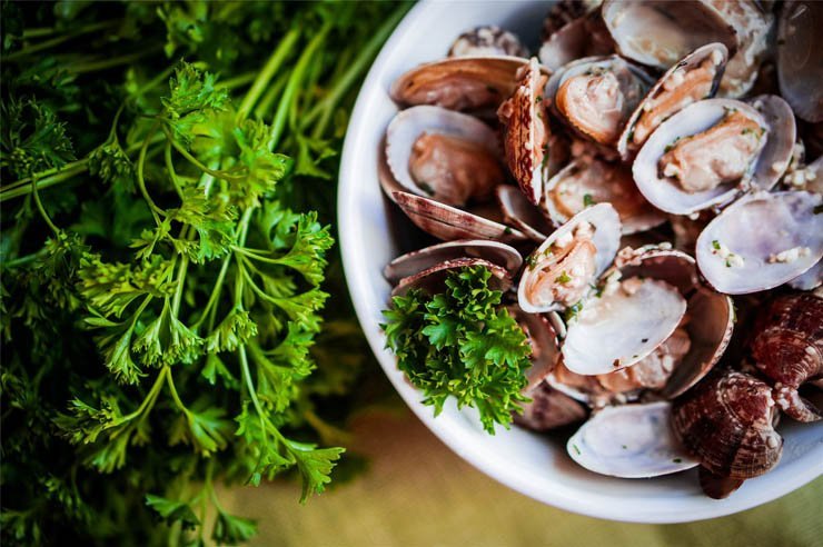 restaurant meal food dish eat cook cooking oyster sea seafood