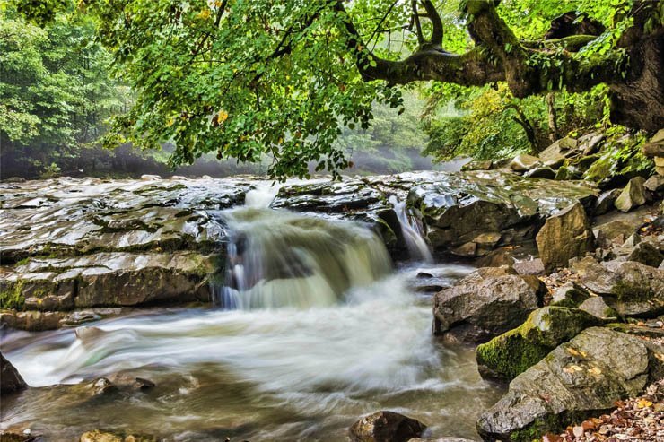 river rivers lake stones stone rock rocks tree nature natural waterfall