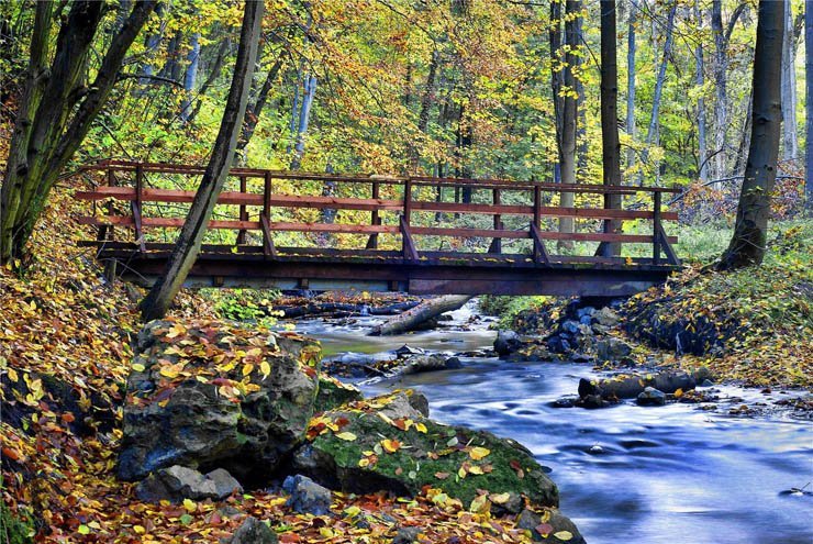 stones rocks trees tree bridge wood wooden river lake water