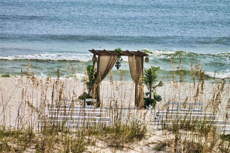 summer sea water ocean sand sandy plant plants