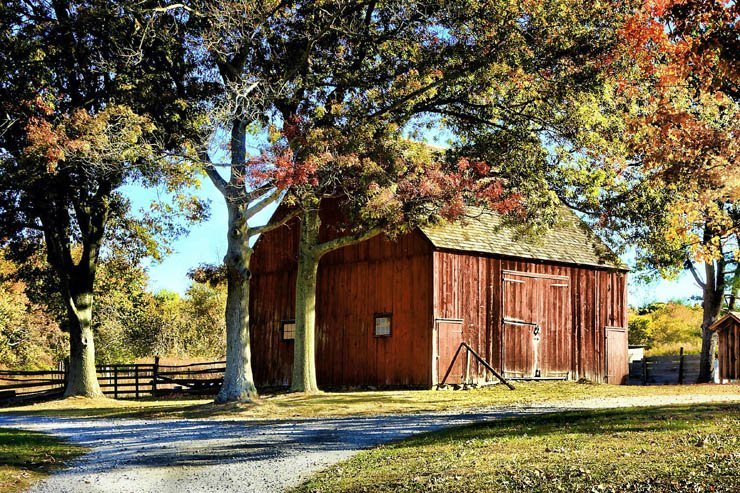 
									sunny trees fall autumn barn house farm nature