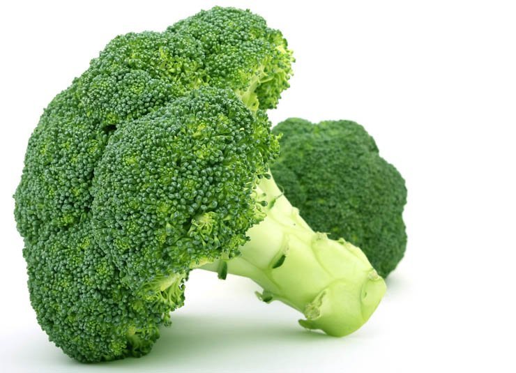 
									vegetable vegetables food health eat healthy broccoli