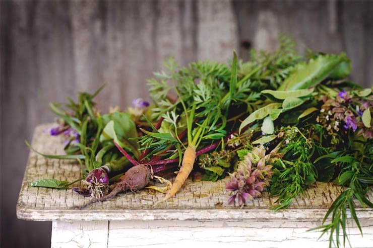 vegetable vegetables salad health healthy food diet eat restaurant table carrot carrots