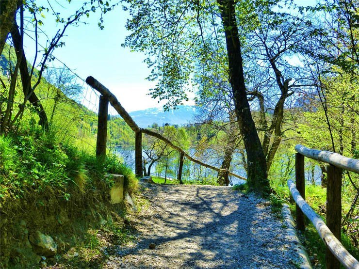 wooden bridge fence forest park lake trees sunny sky