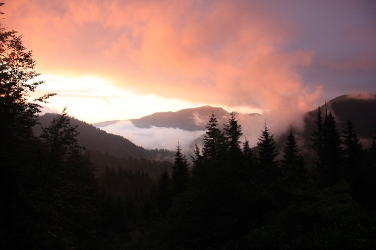 backlit shadow sillhouette mountains tree trees fog clouds cloud landscape nature forest