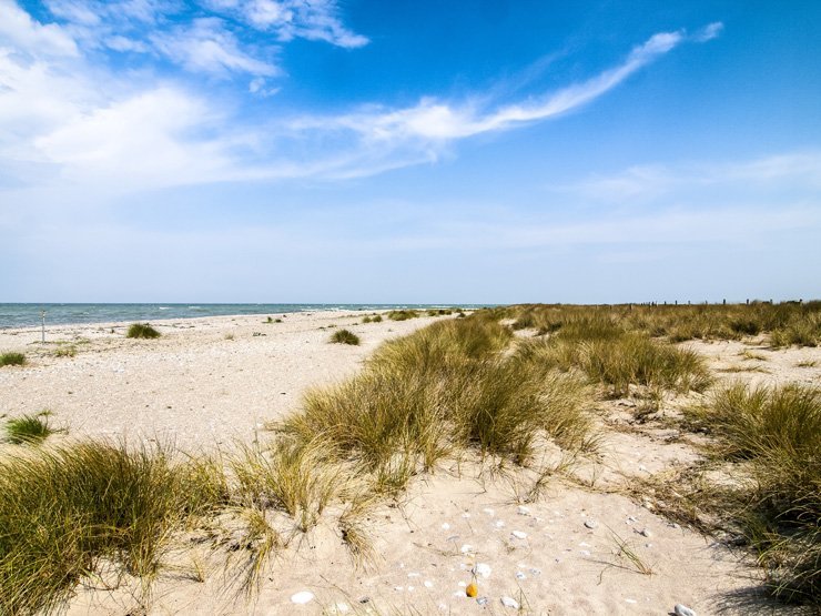 beach nature sky sea ocean sand sandy