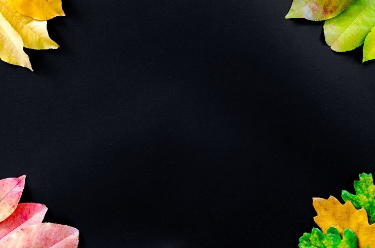 board art creative leaf leaves nature autumn fall