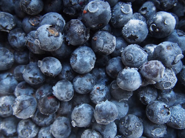 fruit fruits food healthy health berry berries blueberry