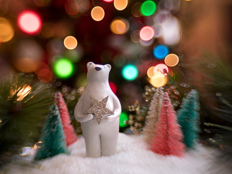 holidays eve snow christmas xmas holiday tree decoration decorations new year joy happy happiness bear statue light lights sculpture