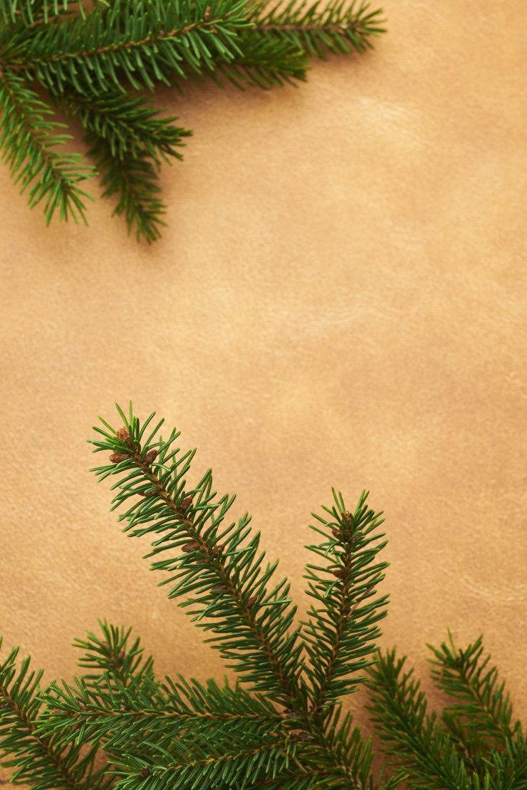 holidays eve snow christmas xmas holiday tree decoration decorations new year joy happy happiness branch