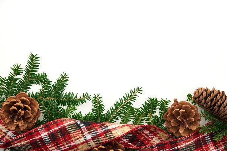 holidays eve snow christmas xmas holiday tree decoration decorations new year joy happy happiness cloth nut nuts ornament