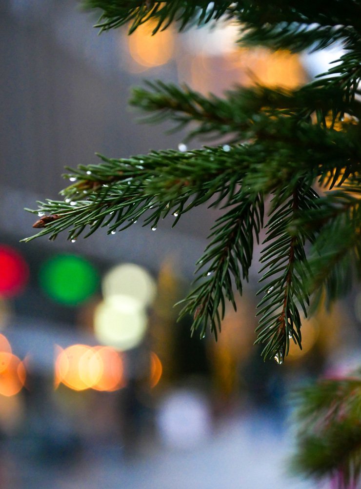 holidays eve snow christmas xmas holiday tree decoration decorations new year joy happy happiness light lights