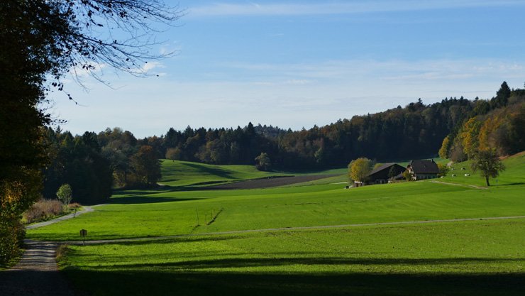 nature spring summer green farm tree mountains trees landscape