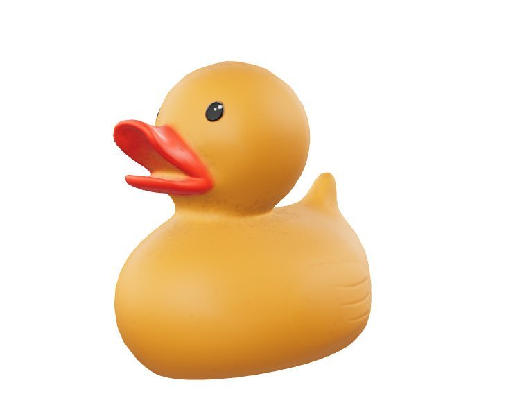 Rubber Duck Toy