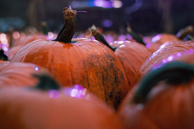 scary holidays holiday carving halloween pumpkin spooky food