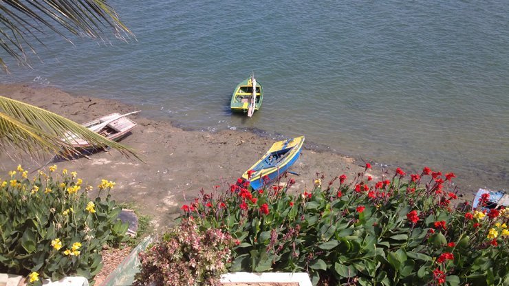 shipping ships travel boat trip river water sea ocean lae transport transportation ship land beach logistics tour cruise travelling boats