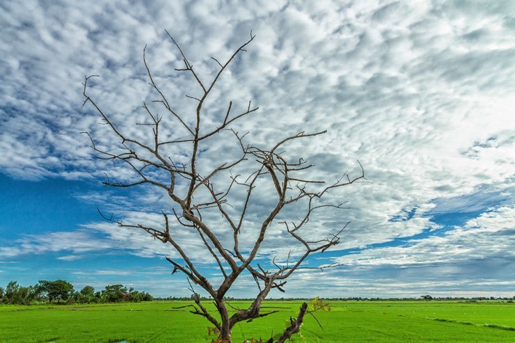 sky clouds cloud nature farm spring autumn fall landscape