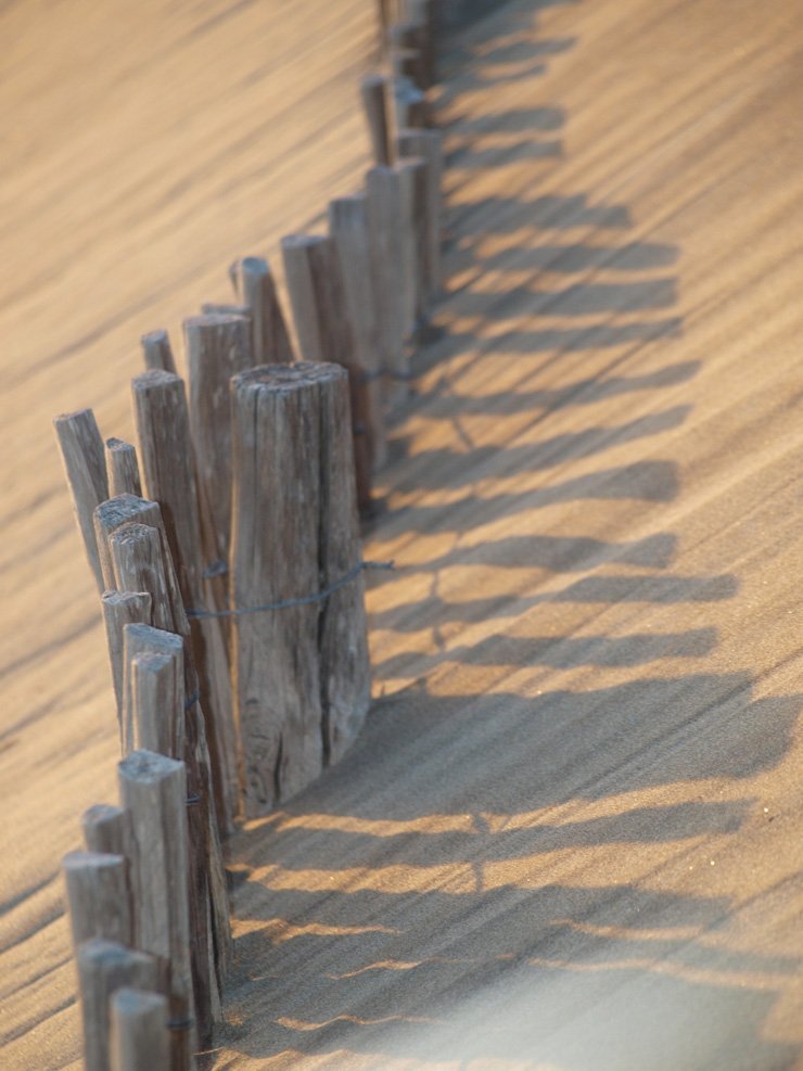 wood wooden beach sand desert nature