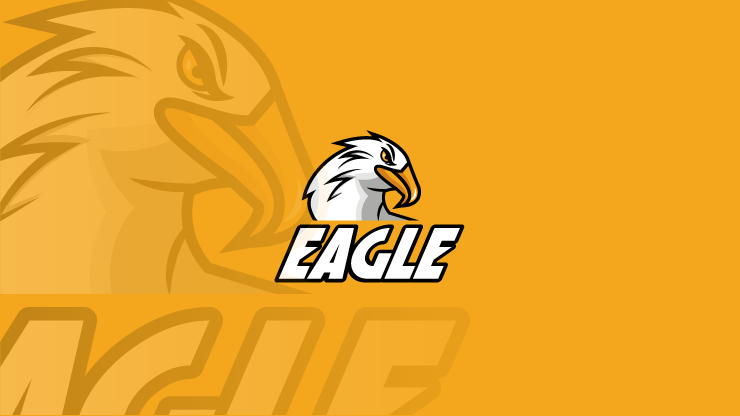 E Sports Eagle