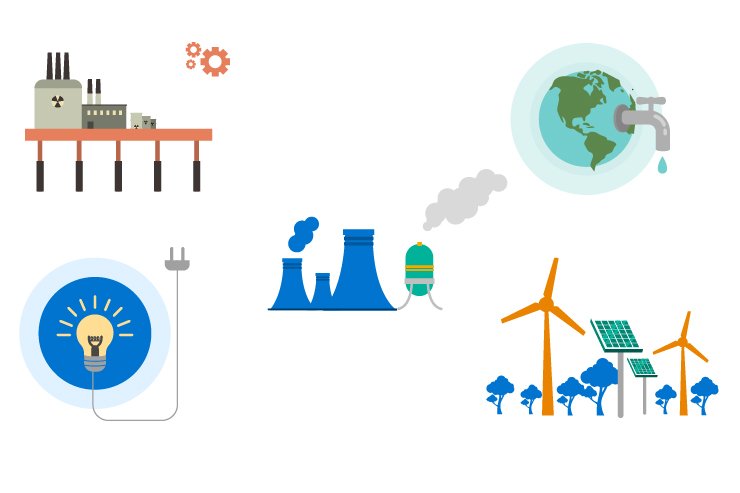 Ecology Illustrations