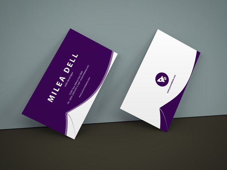 professional modern business card