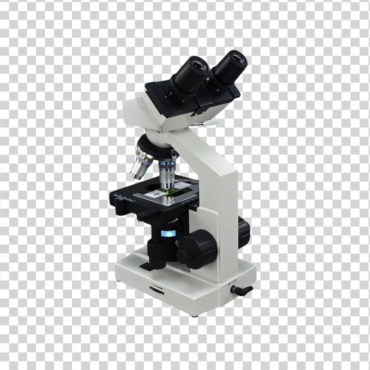 Microscope