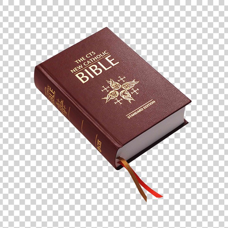 Bible Book