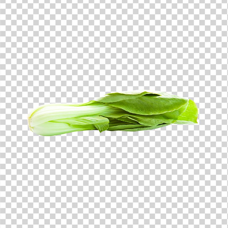 Bokchoy