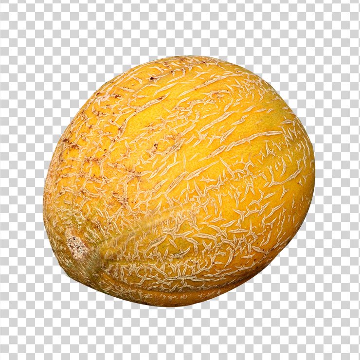 Cantaloupe Melon