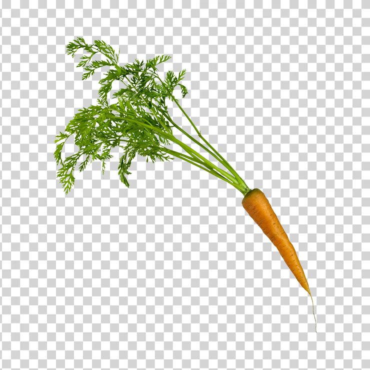 Carrot 2