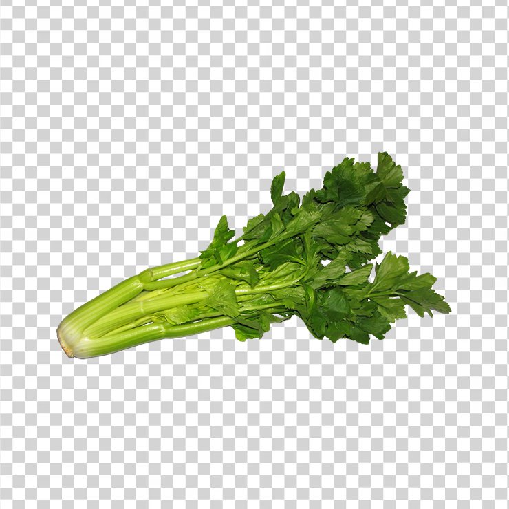Celery
