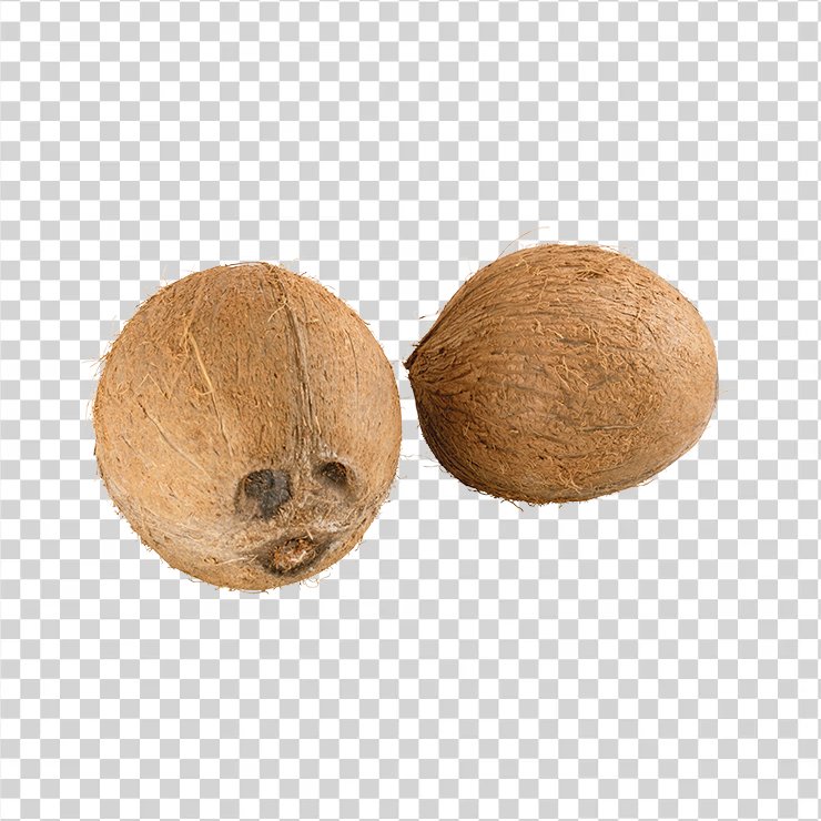 Coconut 10